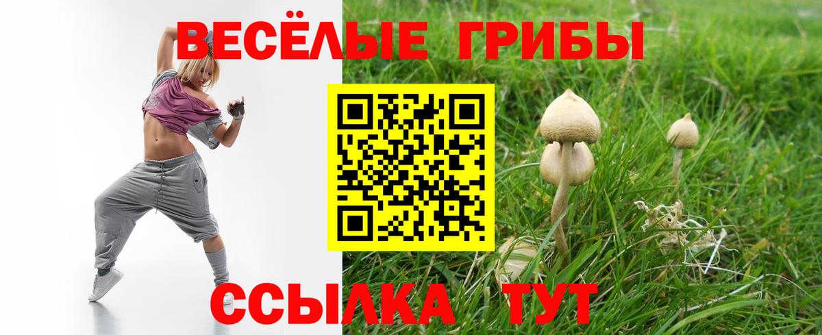 Псилоцибиновые грибы мухоморы Лысьва