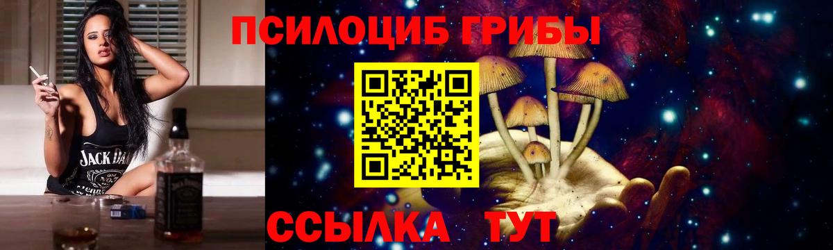 где продают наркотики  Вход с VPN  Галлюциногенные грибы прущие грибы  Лысьва  Галлюциногенные грибы прущие грибы 